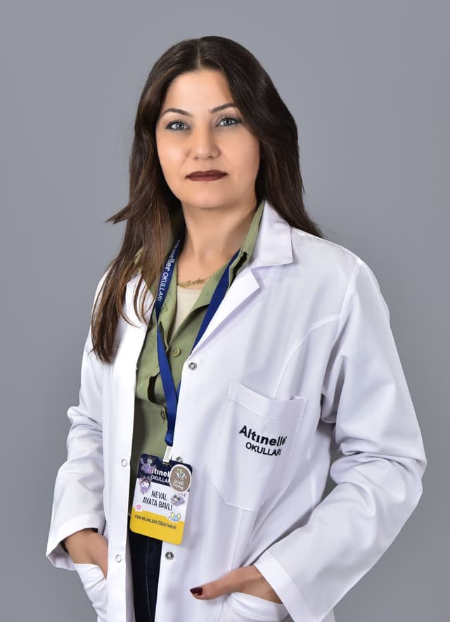 Neval Ayata Bavlı